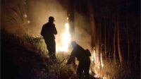 Seperempat Hektar Lahan di Jabung Terbakar