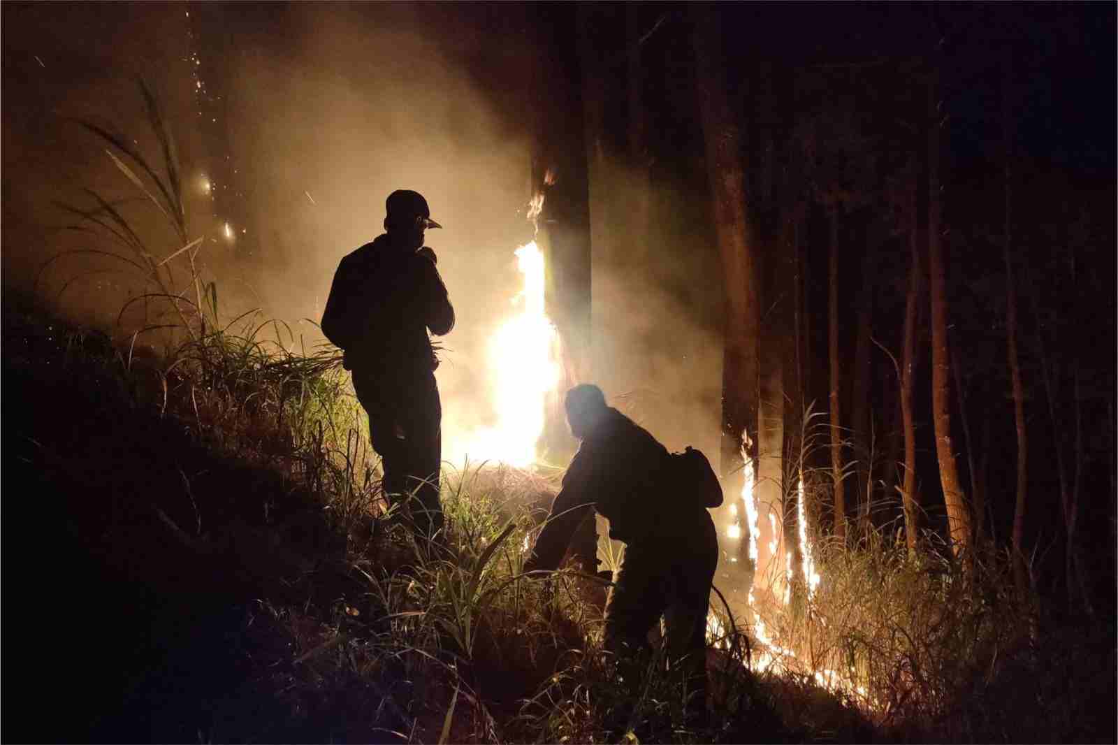 Seperempat Hektar Lahan di Jabung Terbakar