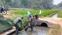 Babinsa Wonokoyo Bantu Kelompok Tani Bersihkan Saluran Irigasi Pertanian