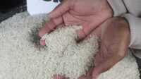 Beras. (ist) - Hore! Pemerintah Perpanjang Bansos Beras Hingga Juni 2024