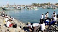BEM Unair Bersama Pecinta Lingkungan Bersihkan Sampah Pantai Pulau Gili Ketapang