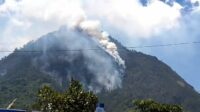 Curam dan Terjal, Petugas Kesulitan Jinakkan Harhutla Gunung Panderman