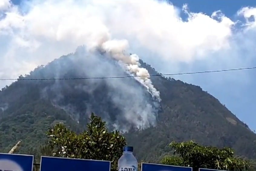 Curam dan Terjal, Petugas Kesulitan Jinakkan Harhutla Gunung Panderman