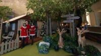 Vaza Hotel Hadirkan The Whispers Of Woodland Bagi Tamu