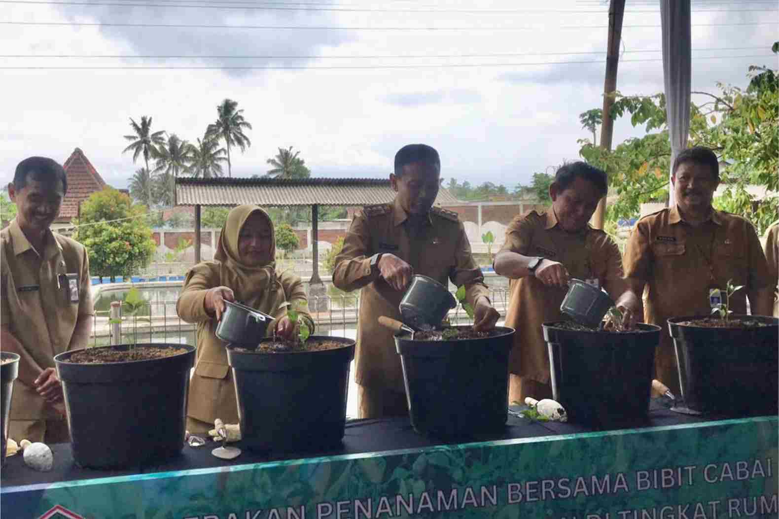 Pemkot Malang Berikan 4.820 Bibit Cabai ke Masyarakat Untuk Kendalikan Inflasi