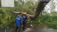 Hujan Disertai Angin, Tiga Kecamatan di Kabupaten Malang Terdampak