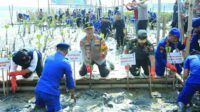 HUT ke-78 Korps Brimob dan ke-73 Polairud, Kapolda Jatim Tanam 18 Ribu Bibit Mangrove