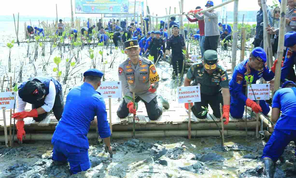 HUT ke-78 Korps Brimob dan ke-73 Polairud, Kapolda Jatim Tanam 18 Ribu Bibit Mangrove