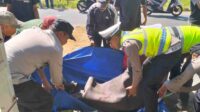 Enam Titik Lokasi Langganan Kecelakaan Lalu lintas di Kabuapaten Malang