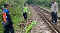 Pria Asal Pasuruan Tewas Tertabrak KA Penataran di Sumberpucung