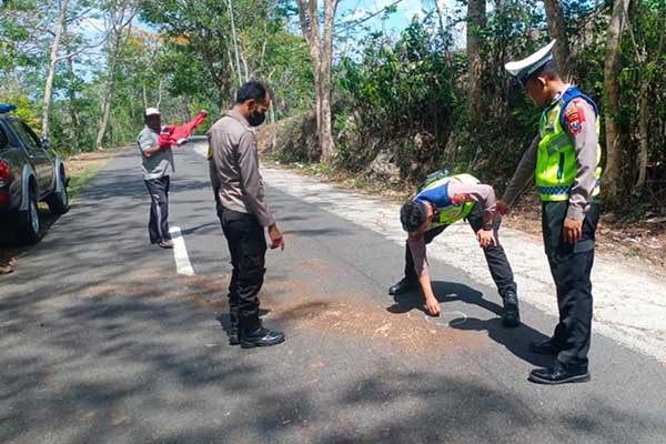 Proses olah TKP. (ist) - Diduga Mengantuk Pengendara Roda Dua Tewas Usai Serempetan dengan Pikap
