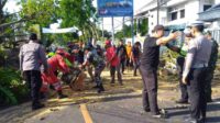 Pohon Roboh di Pakisaji Menewaskan Dua Pengendara Motor