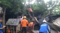 Hujan Deras Disertai Angin Kencang Tumbangkan Pohon, Timpa Rumah Warga
