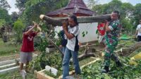 Babinsa Koramil 0833/03 Blimbing bersama warga evakuasi pohon tumbang di Glintung. (ist) - Babinsa Koramil 0833/03 Blimbing Bersama Warga Evakuasi Pohon Tumbang di Glintung