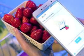 Smartphone Kini Bisa Untuk Deteksi Kimia, Cepat, Mudah dan Akurat
