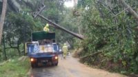 Tekan Dampak Bencana, BPBD Kabupaten Malang Pasang CCTV di Sejumlah Titik