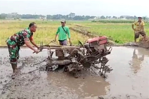 Bersama Poktan Suka Maju, Babinsa Wonokoyo Dukung Ketahanan Pangan
