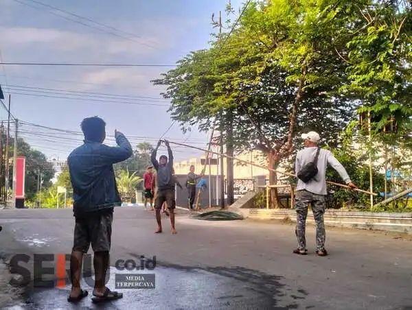 Pemasangan Puluhan Tiang Provider Tanpa Izin di Situbondo Diprotes Warga