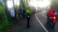 Mobil Pickup Bermuatan 6 Orang Terjatuh Ke Jurang di Kalipare