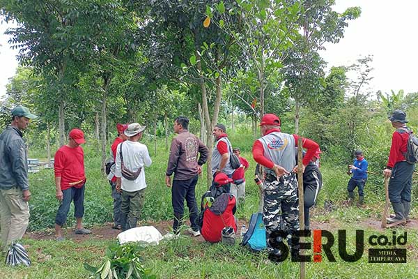 Penanaman pohon oleh PDDI dan Yabisa di kampus 3 UIN Malang. (Seru.co.id/ws10) - PDDI dan Yabisa Lakukan Penghijauan Hutan Kampus III UIN Malang