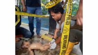 Balita Ditemukan Tewas di Pintu Air Sipon Metro Kepanjen