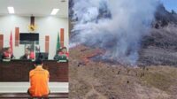 Vonis terdakwa kebakaran Gunung Bromo. (ist) - Ketok Palu! Pelaku Karhutla Bukit Teletubbies Bromo Divonis 2,5 Penjara