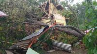Puncak Musim Hujan di Febuari, Masyarakat Diminta Waspada Bencana Hidrometeorologi