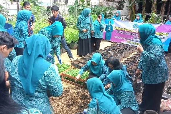 Babinsa Lowokwaru Dampingi Gerakan Tanam Cabai Serentak