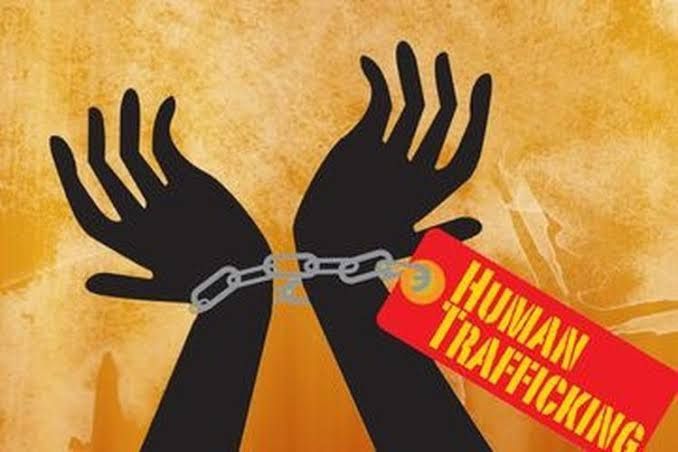 Polisi Tetapkan 5 Orang Tersangka dari 2 Perusahaan Perdagangan Mahasiswa ke Jerman