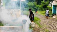 Angka Kematian Karena DBD di Kabupaten Malang Meningkat