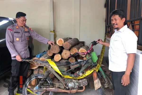 Pembalakan Liar di Gedangan, Satu Tertangkap Seorang Lainnya DPO