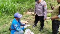 Mayat Bayi Perempuan Dengan Tali Pusar Ditemukan di Aliran Sungai Brantas.