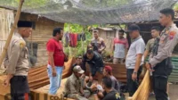 Grebek Judi Sabung Ayam, Polisi Amankan Empat Tersangka, Tujuh Ayam Aduan dan 10 Motor