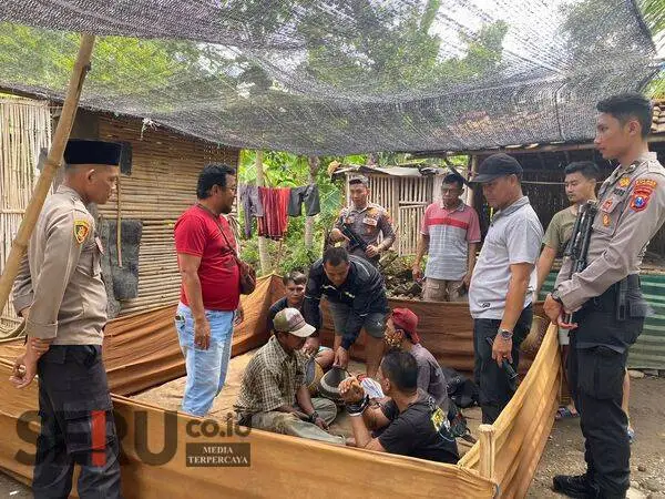 Grebek Judi Sabung Ayam, Polisi Amankan Empat Tersangka, Tujuh Ayam Aduan dan 10 Motor