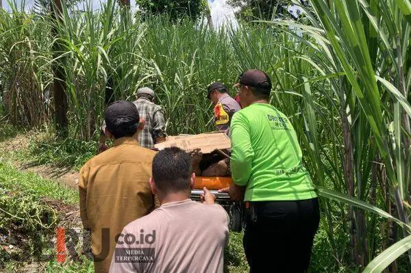 Seorang Kakek Ditemukan Tak Bernyawa di Area Persawahan Desa Talok