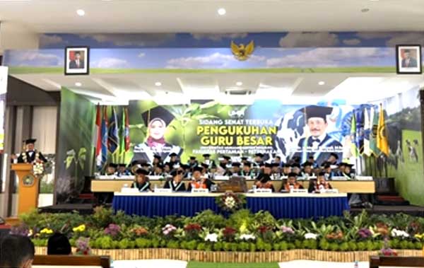 Rektor UMM, Prof Dr Nazaruddin Malik SE MSi menyampaikan, pidato sambutan. (rhd) - UMM Kukuhkan Dua Guru Besar, Prof Ahmad Wahyudi dan Prof Aniek Iriany