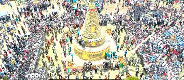 Sebanyak 2024 Buah Durian dibuat Tumpeng Kenduri Durian. (Seru.comid/ful) - KenDuren Wonosalam dan Kirab Tumpeng Durian 2024 Dibuka Pj Bupati Jombang