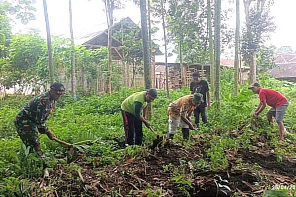 Babinsa Kedungkandang Dukung Program Ketahanan Pangan Tanami Lahan Kosong Warga Wonokoyo - Babinsa Kedungkandang Dukung Program Ketahanan Pangan Tanami Lahan Kosong Warga Wonokoyo