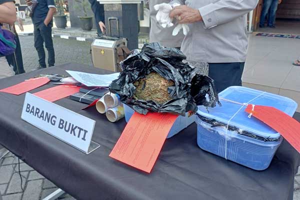 Barang bukti yang diamankan oleh Unit Reskrim Polsek Lowokwaru. (Seru.co.id/afi) - Polsek Lowokwaru Berhasil Amankan 2 Kg Ganja, Estimasi Selamatkan 1000 Orang