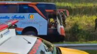 Bus Rosalia Indah kecelakaan tunggal di Tol Batang KM 370. (ist) - Diduga Mengantuk, Bus Rosalia Indah Tewaskan 7 Orang di Tol Batang KM 370