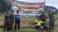 Koramil 0833/02 Kedungkandang buka lahan tidur tanaman jagung dukung ketahanan pangan. (rhd) - Koramil 0833/02 Kedungkandang Buka Lahan Tidur Tanaman Jagung Dukung Ketahanan Pangan