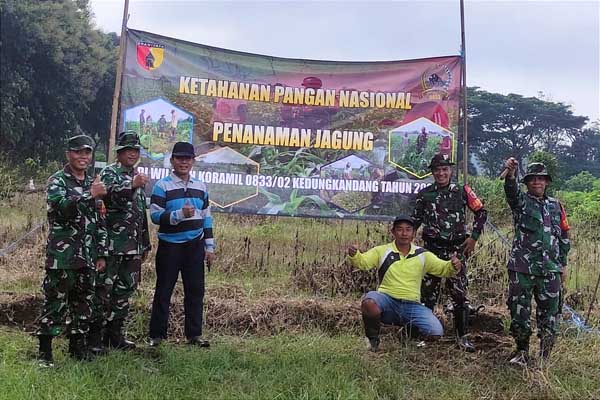 Koramil 0833/02 Kedungkandang buka lahan tidur tanaman jagung dukung ketahanan pangan. (rhd) - Koramil 0833/02 Kedungkandang Buka Lahan Tidur Tanaman Jagung Dukung Ketahanan Pangan