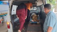 Korban tewas usai terseret ombak di Pantai Paseban Jember. (Seru.co.id/amb) - Wisatawan Asal Gresik Tewas Terseret Ombak Besar Pantai Paseban Jember