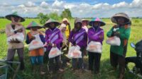 Mas Rio Patennang bagikan Ratusan Paket Sembako pada para petani di Kabupaten Situbondo, Minggu (21/4/2024). (Seru.co.id/aza) - Tim Mas Rio Patennang Berikan Ratusan Paket Sembako pada Para Petani