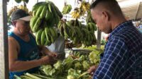 Tradisi Kupatan, Penjual Janur Banjiri Pasar Tradisional