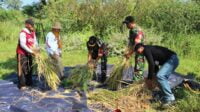 Babinsa Lowokwaru bantu pengubinan lahan Poktan Sri Rejeki Jatimulyo. (ist) - Babinsa Lowokwaru Bantu Pengubinan Lahan Poktan Sri Rejeki Jatimulyo