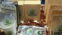 Manfaatkan Residu, Mahasiswa Polinema Bikin Kopi Biji Alpukat Kopikado