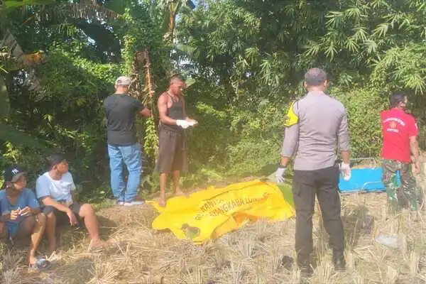 Pencari Burung di Jember Temukan Mayat Seorang Nenek yang Telah Membusuk