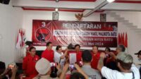 Pengambilan formulir pendaftaran Cawali Cawawali Baru di Kantor PDI-P Batu oleh relawan KD. (ist) - Relawan "Konco Kampung" Krisdayanti Inisiatif Ambil Formulir Pendaftaran Cawali untuk KD