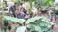 Personel Koramil Klojen Tanam Rumput Vetiver Cegah Banjir dan Longsor di Kiduldalem